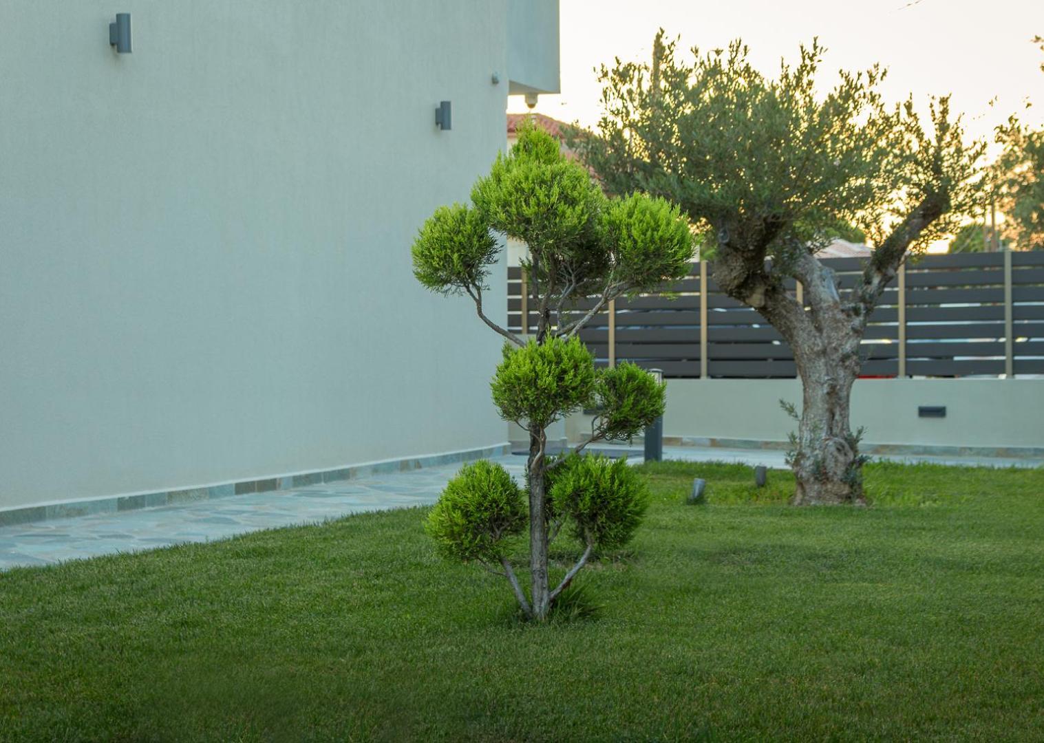 Oliva Suites Nikiti  Exteriér fotografie